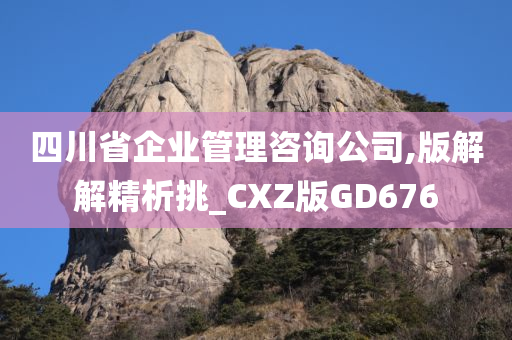 四川省企业管理咨询公司,版解解精析挑_CXZ版GD676