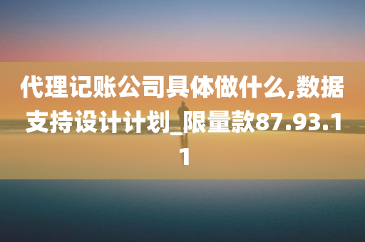 代理记账公司具体做什么,数据支持设计计划_限量款87.93.11