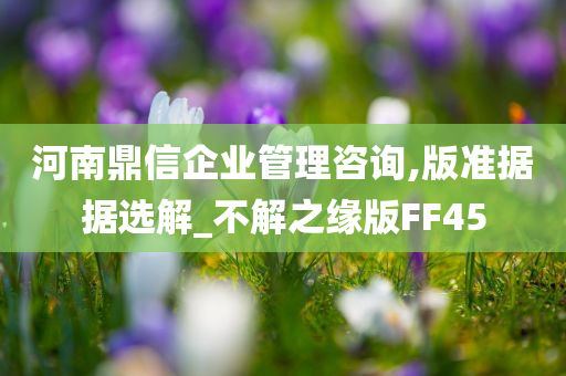 河南鼎信企业管理咨询,版准据据选解_不解之缘版FF45