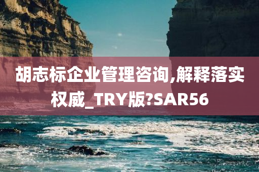 胡志标企业管理咨询,解释落实权威_TRY版?SAR56