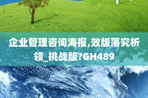 企业管理咨询海报,效版落究析领_挑战版?GH489