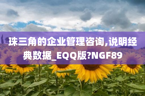 珠三角的企业管理咨询,说明经典数据_EQQ版?NGF89