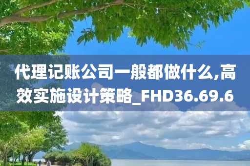 代理记账公司一般都做什么,高效实施设计策略_FHD36.69.60