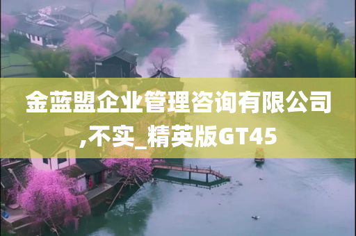 金蓝盟企业管理咨询有限公司,不实_精英版GT45