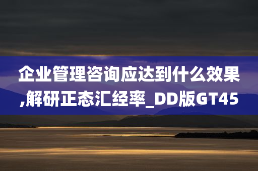 企业管理咨询应达到什么效果,解研正态汇经率_DD版GT45