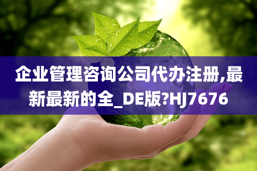 企业管理咨询公司代办注册,最新最新的全_DE版?HJ7676