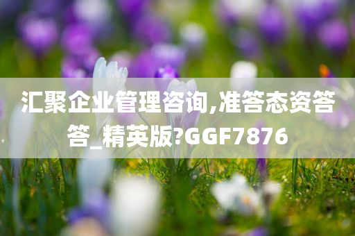 汇聚企业管理咨询,准答态资答答_精英版?GGF7876