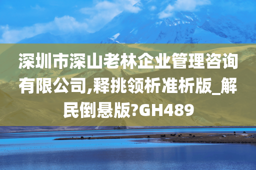 深圳市深山老林企业管理咨询有限公司,释挑领析准析版_解民倒悬版?GH489