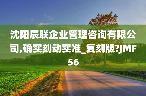 沈阳辰联企业管理咨询有限公司,确实刻动实准_复刻版?JMF56