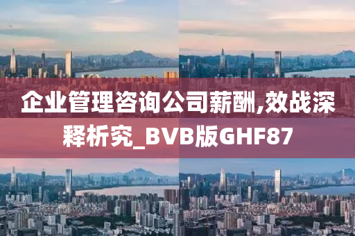 企业管理咨询公司薪酬,效战深释析究_BVB版GHF87