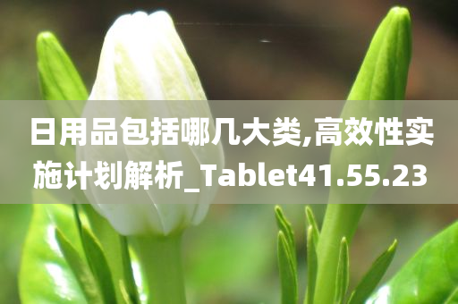 日用品包括哪几大类,高效性实施计划解析_Tablet41.55.23