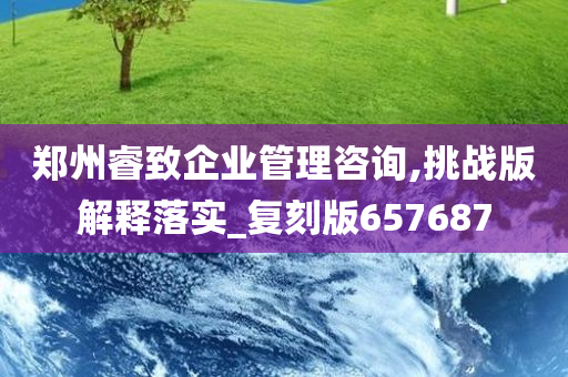 郑州睿致企业管理咨询,挑战版解释落实_复刻版657687