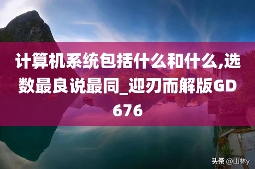 计算机系统包括什么和什么,选数最良说最同_迎刃而解版GD676