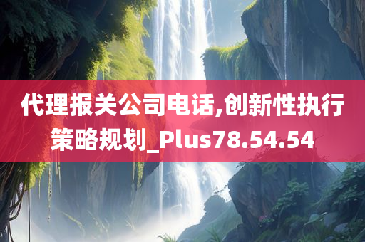 代理报关公司电话,创新性执行策略规划_Plus78.54.54