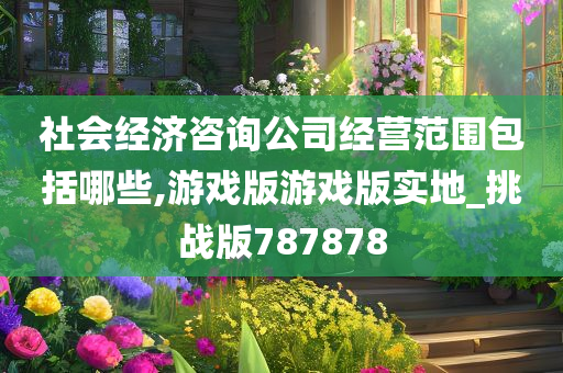 社会经济咨询公司经营范围包括哪些,游戏版游戏版实地_挑战版787878