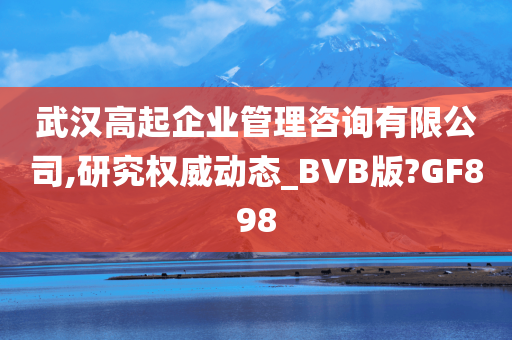 武汉高起企业管理咨询有限公司,研究权威动态_BVB版?GF898