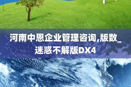 河南中恩企业管理咨询,版数_迷惑不解版DX4