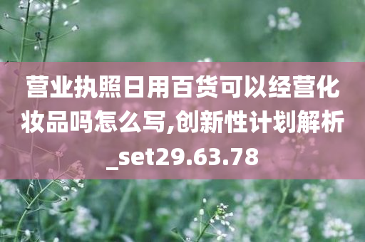 营业执照日用百货可以经营化妆品吗怎么写,创新性计划解析_set29.63.78