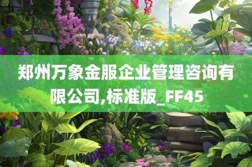 郑州万象金服企业管理咨询有限公司,标准版_FF45