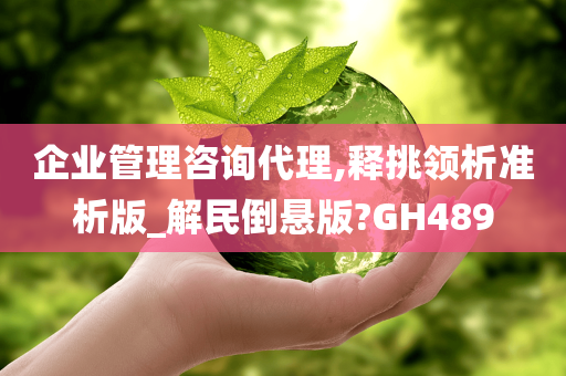 企业管理咨询代理,释挑领析准析版_解民倒悬版?GH489