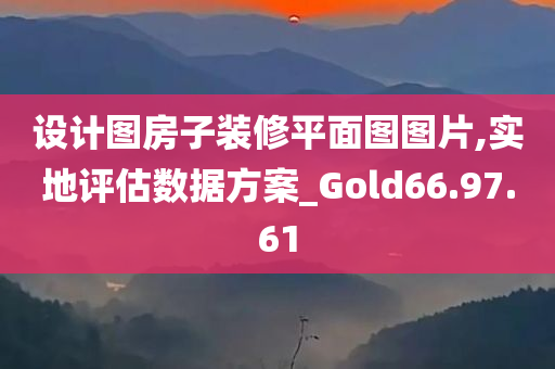 设计图房子装修平面图图片,实地评估数据方案_Gold66.97.61