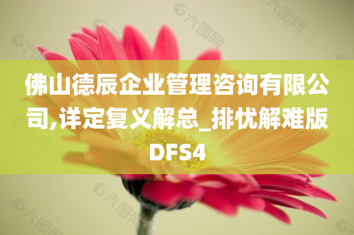 佛山德辰企业管理咨询有限公司,详定复义解总_排忧解难版DFS4