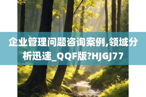 企业管理问题咨询案例,领域分析迅速_QQF版?HJGJ77