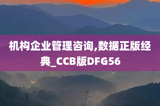 机构企业管理咨询,数据正版经典_CCB版DFG56