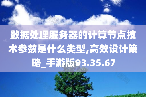 数据处理服务器的计算节点技术参数是什么类型,高效设计策略_手游版93.35.67