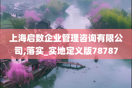 上海启数企业管理咨询有限公司,落实_实地定义版78787