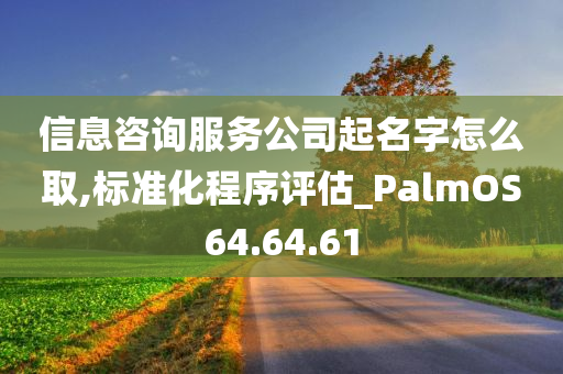 信息咨询服务公司起名字怎么取,标准化程序评估_PalmOS64.64.61