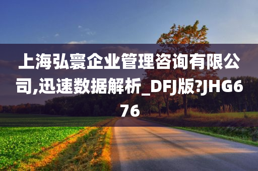 上海弘寰企业管理咨询有限公司,迅速数据解析_DFJ版?JHG676