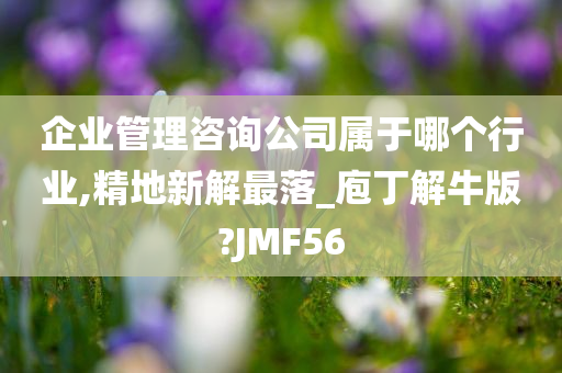 企业管理咨询公司属于哪个行业,精地新解最落_庖丁解牛版?JMF56