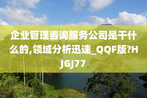 企业管理咨询服务公司是干什么的,领域分析迅速_QQF版?HJGJ77