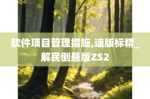 软件项目管理措施,速版标精_解民倒悬版ZS2