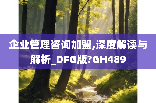 企业管理咨询加盟,深度解读与解析_DFG版?GH489