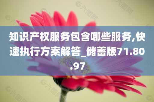 知识产权服务包含哪些服务,快速执行方案解答_储蓄版71.80.97