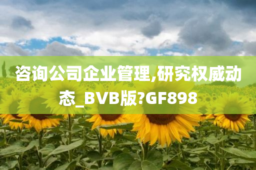 咨询公司企业管理,研究权威动态_BVB版?GF898