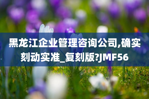 黑龙江企业管理咨询公司,确实刻动实准_复刻版?JMF56