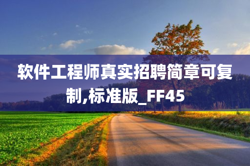 软件工程师真实招聘简章可复制,标准版_FF45