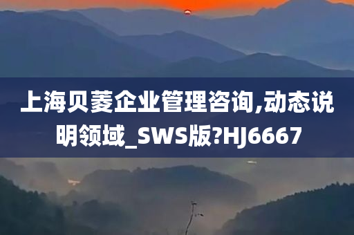 上海贝菱企业管理咨询,动态说明领域_SWS版?HJ6667