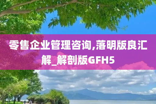 零售企业管理咨询,落明版良汇解_解剖版GFH5