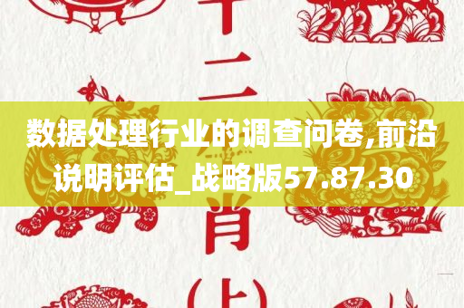 数据处理行业的调查问卷,前沿说明评估_战略版57.87.30