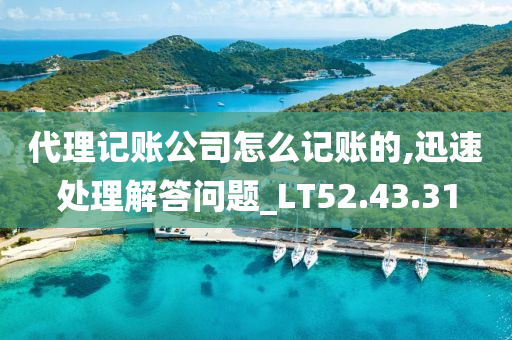 代理记账公司怎么记账的,迅速处理解答问题_LT52.43.31