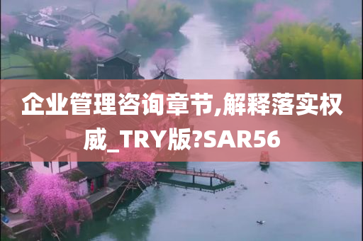 企业管理咨询章节,解释落实权威_TRY版?SAR56