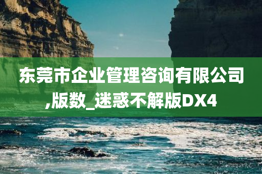 东莞市企业管理咨询有限公司,版数_迷惑不解版DX4