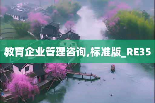 教育企业管理咨询,标准版_RE35