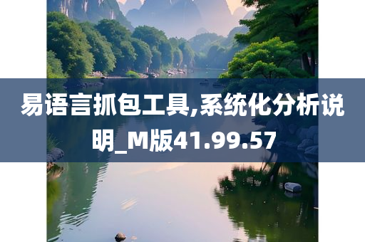 易语言抓包工具,系统化分析说明_M版41.99.57