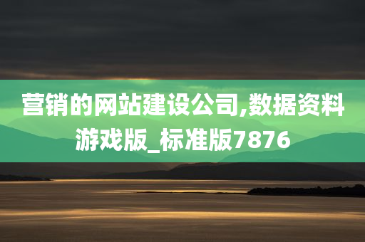 营销的网站建设公司,数据资料游戏版_标准版7876