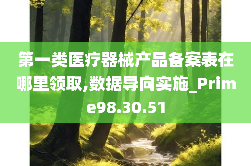 第一类医疗器械产品备案表在哪里领取,数据导向实施_Prime98.30.51